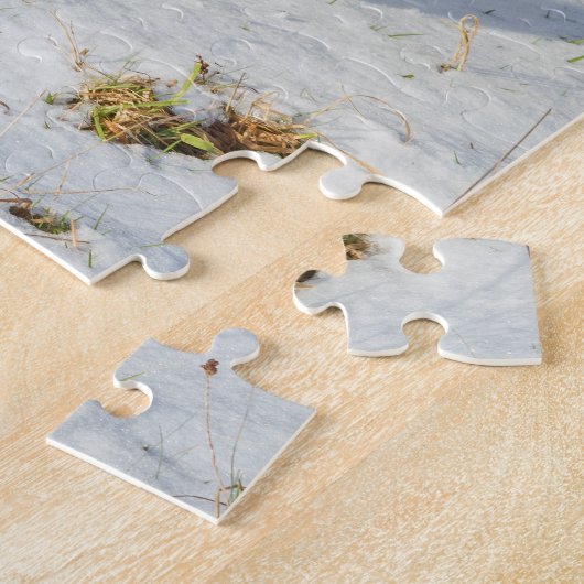 Puzzle Beau chien Saint Bernard (Côté)