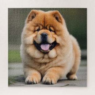 Puzzle Beau Chow Chow Chow