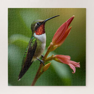 Puzzle Beau colibri