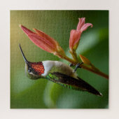 Puzzle Beau colibri (Vertical)