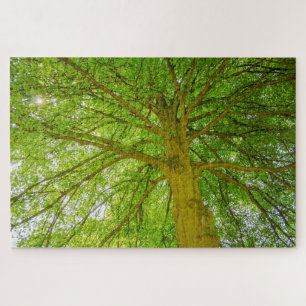 Puzzle Beau énorme arbre vert