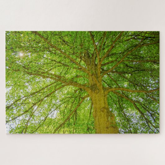 Puzzle Beau énorme arbre vert (Horizontal)