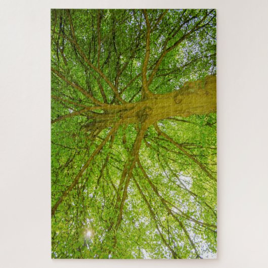 Puzzle Beau énorme arbre vert (Vertical)