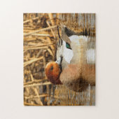 Puzzle Beau étranger en ville Eurasian Wigeon (Vertical)