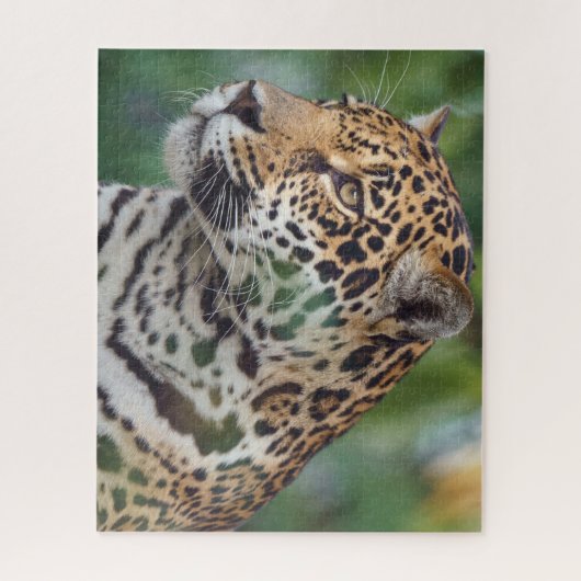 Puzzle Beau Jaguar dans la nature (Vertical)