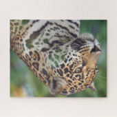 Puzzle Beau Jaguar dans la nature (Horizontal)