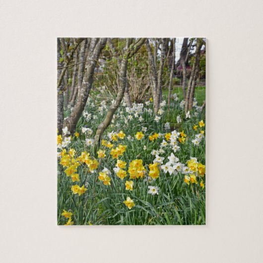 Puzzle Beau jardin de jonquilles de printemps (Vertical)