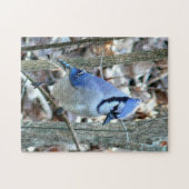 Puzzle Beau Jay Bleu (Horizontal)