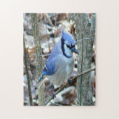 Puzzle Beau Jay Bleu (Vertical)