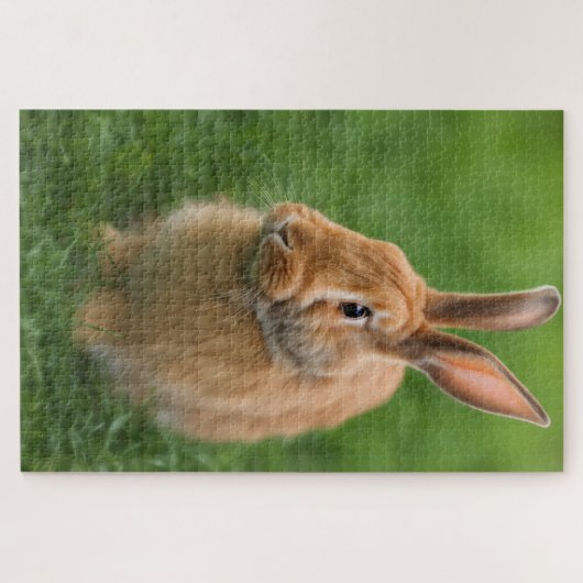Puzzle Beau lapin (Horizontal)