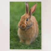 Puzzle Beau lapin (Vertical)
