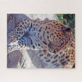 Puzzle Beau léopard - (Horizontal)