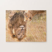 Puzzle Beau Lion et Cub (Horizontal)