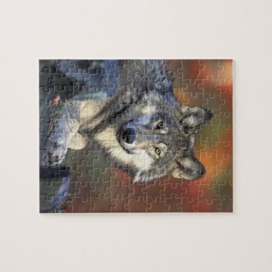 Puzzle Beau loup (Horizontal)