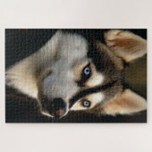 Puzzle Beau Oreiller Husky Lrow (Horizontal)
