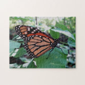 Puzzle Beau papillon Monarque (Horizontal)