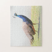 Puzzle Beau Peacock Bird (Vertical)