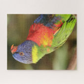 Puzzle Beau perroquet coloré (Horizontal)