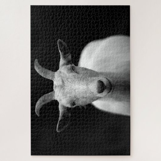 Puzzle Beau portrait de chèvre (Vertical)