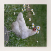 Puzzle Beau poulet et marguerites (Horizontal)