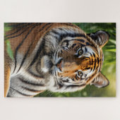 Puzzle Beau profil de tigre (Horizontal)
