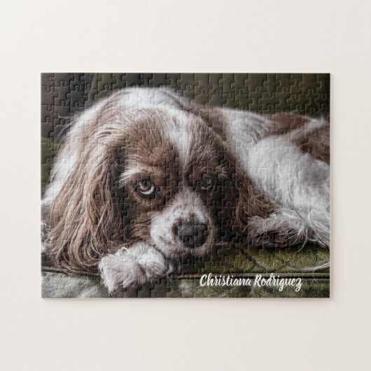 Puzzle Beau Roi Charles Spaniel (Horizontal)