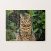Puzzle Beau Tabby Cat (Horizontal)