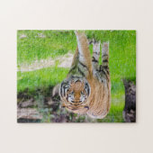 Puzzle Beau tigre (Horizontal)
