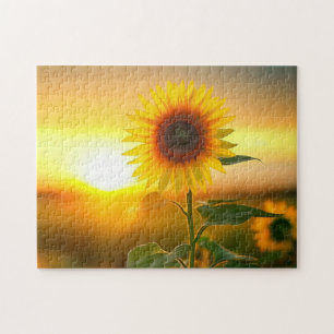 Puzzle beau tournesol de fleur plante au coucher du solei