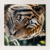 Puzzle Beau visage de tigre (Horizontal)