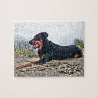 Puzzle Beauceron