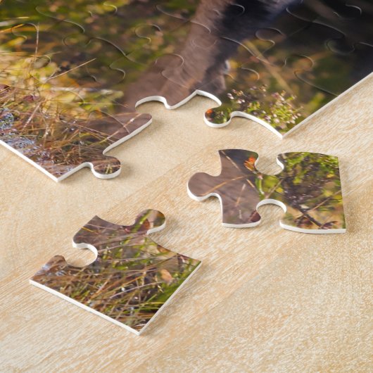 Puzzle Beauceron Shepherd Dog. (Côté)