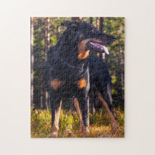 Puzzle Beauceron Shepherd Dog.