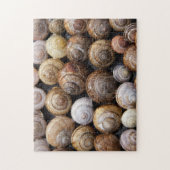 Puzzle Beaucoup de coquilles d'escargot (Vertical)