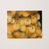 Puzzle Beaucoup de poulets de poussins de bébé (Horizontal)