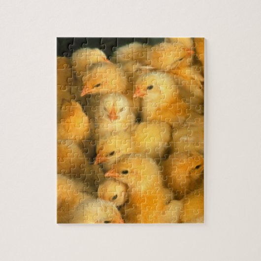 Puzzle Beaucoup de poulets de poussins de bébé (Vertical)