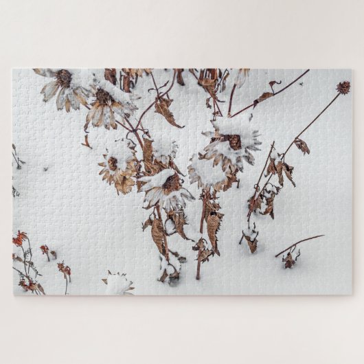 Puzzle Beauté en hiver - 1014 pièce (Horizontal)