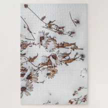 Beauté en hiver - 1014 pièce