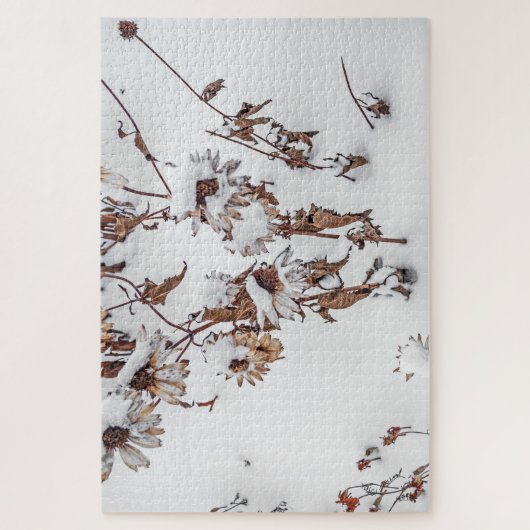 Puzzle Beauté en hiver - 1014 pièce (Vertical)