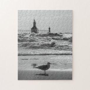Puzzle Beauté Et Niveaux De Gris Force