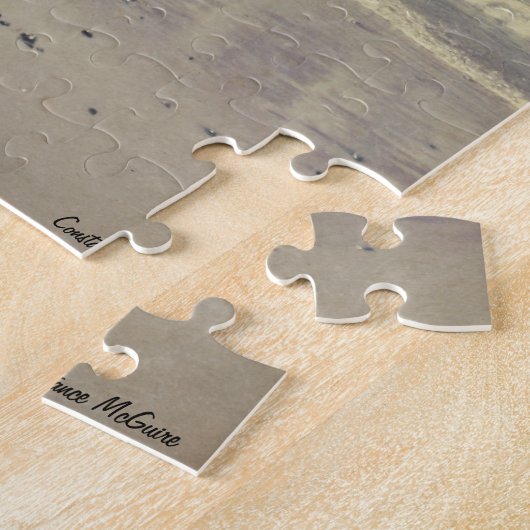 Puzzle Beauté le long du lac Michigan (Côté)