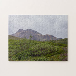 Puzzle Beauté tourbillonnée dans Denali