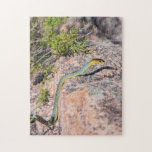 Puzzle Beautiful Australian Green Tree Snake, 252 pieces<br><div class="desc">This unique jigsaw puzzle features the photo of a beautiful and colourful green tree snake. I came across this cute creature in Crows Nest national park in Queensland, Australia. You'll have lots of fun piecing this one together! Perfect for when you have to stay home. The perfect inside activity with...</div>