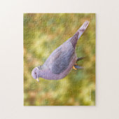 Puzzle Beautiful Band-Tailed Pigeon in My Backyard (Vertical)