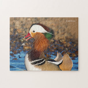 Puzzle Beautiful Chatty Mandarin Duck at the Pond