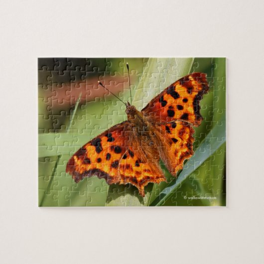 Puzzle Beautiful Orange Satyr Comma Butterfly (Horizontal)