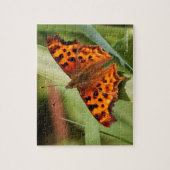 Puzzle Beautiful Orange Satyr Comma Butterfly (Vertical)