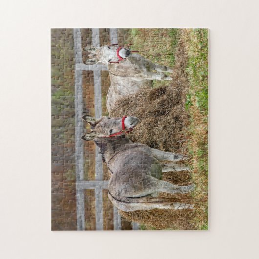 Puzzle Beaux ânes (Vertical)