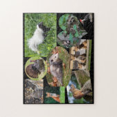 Puzzle Beaux Animaux Pour Les Enfants (Vertical)