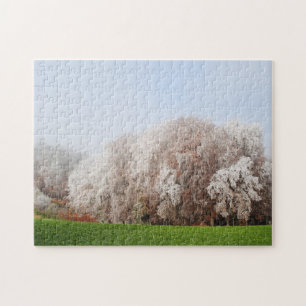 Puzzle Beaux arbres d'automne gelés Autriche Paysage